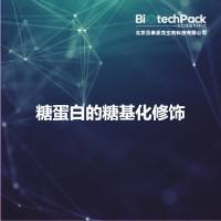 糖蛋白的糖基化修饰