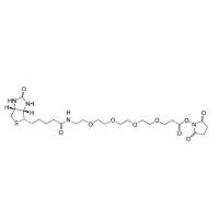 Biotin-PEG4-NHS