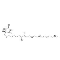 Biotin-PEG3-NH2