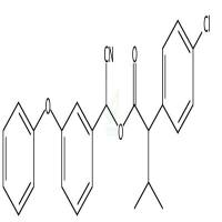 Fenvalerate CAS号:51630-58-1