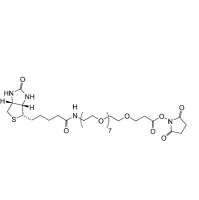 Biotin-PEG8-NHS