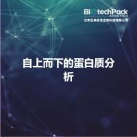 自上而下的蛋白质分析