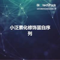 小泛素化修饰蛋白序列