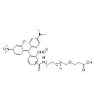 TAMRA-PEG8-COOH