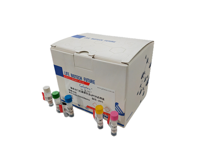 牵牛子PCR鉴定试剂盒