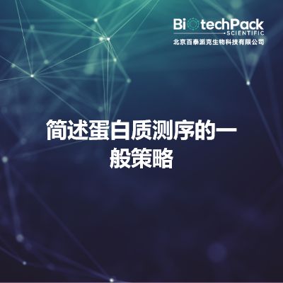 简述蛋白质测序的一般策略