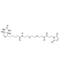 Biotin-PEG2-Maleimide