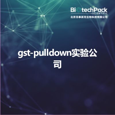 gst-pulldown实验公司