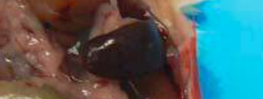 干货分享 ▎要想流式图好看，细胞前处理你得好好搞