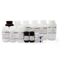 Biotin Northern Blot Kit