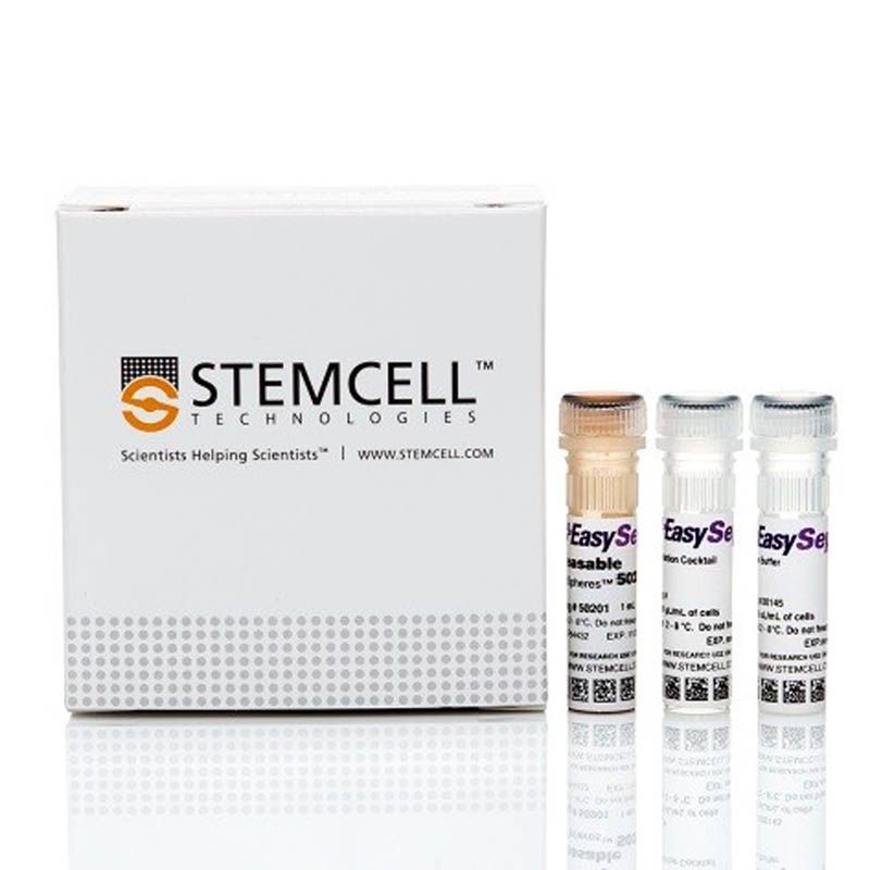 STEMCELL Technologies17752EasySep™Release Human CD4 Positive Selection Kit/EasySep™免疫磁珠可去除的人CD4正选试剂盒
