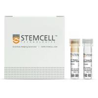 STEMCELL Technologies17975EasySep™ Human Pan-ILC Enrichment Kit/EasySep™人Pan-ILC免疫磁珠富集试剂盒