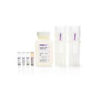 STEMCELL Technologies17665EasySep™ Mouse Biotin Positive Selection Kit II/EasySep™小鼠生物素正选试剂盒