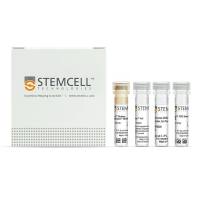STEMCELL Technologies17662EasySep™ Human FITC Positive Selection Kit/EasySep™ 人FITC免疫磁珠正选试剂盒