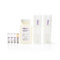 STEMCELL Technologies17698 EasySep™ "Do-It-Yourself" Selection Kit/EasySep™ DIY分选试剂盒