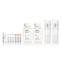 STEMCELL Technologies17879 EasySep™ Human Whole Blood CD34 Positive Selection Kit II/EasySep™ 人全血 CD34正选试剂盒 II