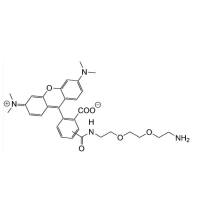 TAMRA-PEG2-NH2