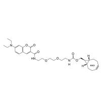 Coumarin-PEG2-exoBCN