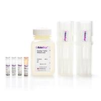 STEMCELL Technologies17666EasySep™Mouse PE Positive Selection Kit II/EasySep™小鼠PE正选试剂盒II