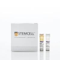 STEMCELL Technologies17877EasySep™ Human CD138 Positive Selection Kit II /EasySep™人CD138细胞正选试剂盒II