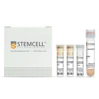 STEMCELL Technologies19767EasySep™ Mouse Memory CD4+ T Cell Isolation Kit/EasySep™ 小鼠CD4+记忆性T 细胞免疫磁珠分选试剂盒