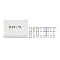 STEMCELL Technologies100-0105EasySep™ Release Human CD45 Positive Selection Kit/EasySep™ 人CD45可去除磁珠正选试剂盒