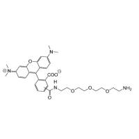 TAMRA-PEG3-NH2