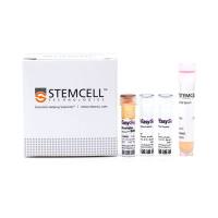 STEMCELL Technologies19765EasySep™ Mouse Naïve CD4+ T Cell Isolation Kit/EasySep™小鼠初始CD4 T细胞免疫磁珠分选试剂盒