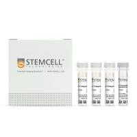 STEMCELL Technologies19159EasySep™ Human Memory CD8+ T Cell Enrichment Kit /人记忆CD8 T细胞分选试剂盒