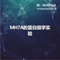 MH7A的蛋白组学实验