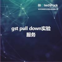 gst pull down实验服务