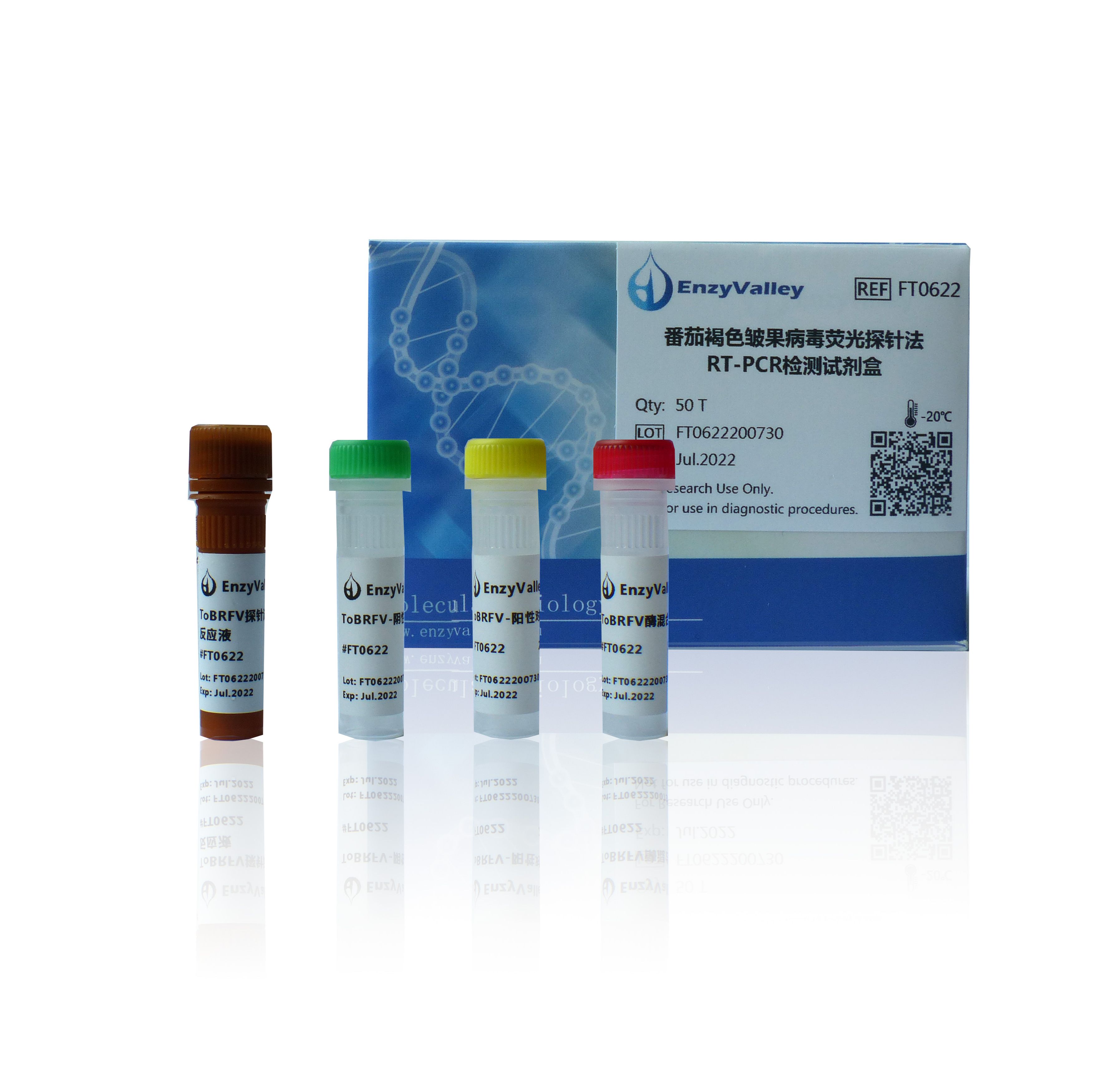 番茄褐色皱果病毒荧光探针法RT-PCR检测试剂盒（FT0622）