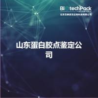 山东蛋白胶点鉴定公司