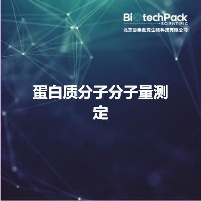 蛋白质分子分子量测定