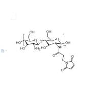 马来酰亚胺修饰壳聚糖  Chitosan-MAL  