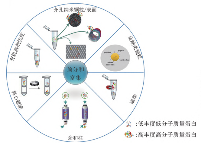 青莲聚焦 | 血浆低丰度蛋白富集技术怎么选？攻略来啦！