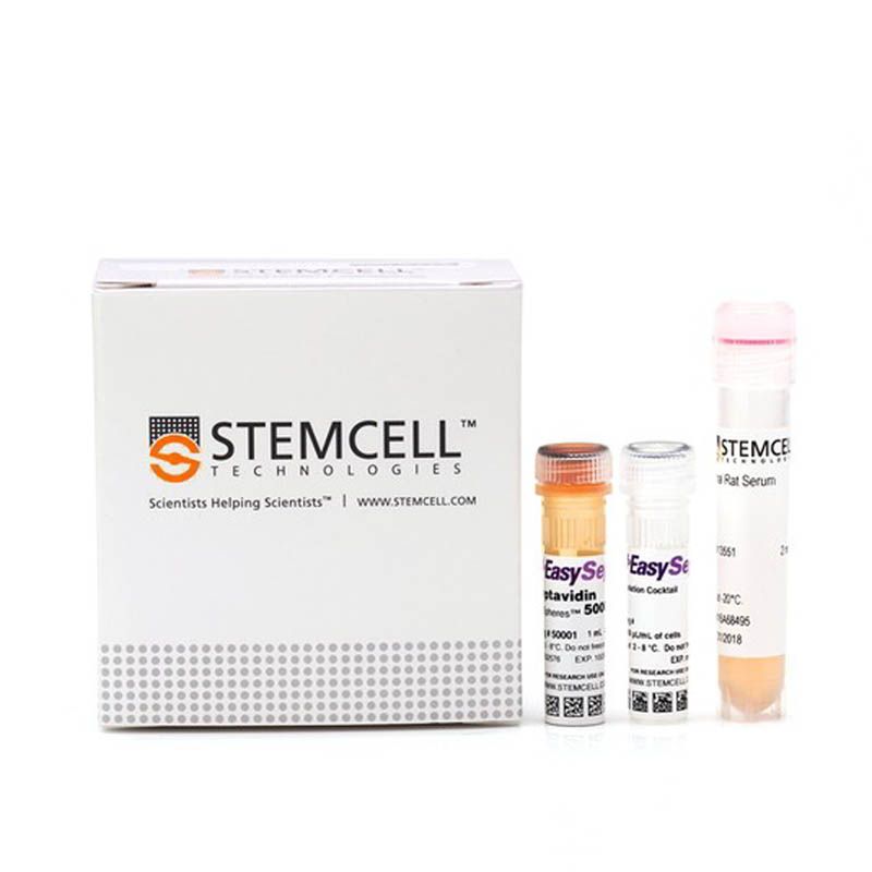 STEMCELL Technologies19851EasySep™ Mouse T Cell Isolation Kit /小鼠T细胞分选试剂盒
