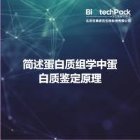 简述蛋白质组学中蛋白质鉴定原理