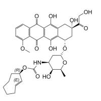 (E)-cyclooctene doxorubicin conjugate (EQUATORIAL)