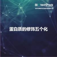 蛋白质的修饰五个化