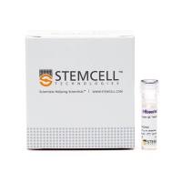 STEMCELL Technologies15230RosetteSep™ Anti-Human IgE Tetramer/抗人IgE四聚体试剂盒