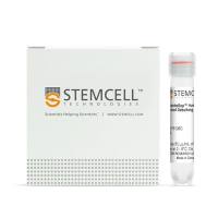 STEMCELL Technologies 15126 RosetteSep™ Human Cord Blood Debulking Cocktail/人脐血减积抗体试剂盒