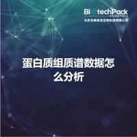 蛋白质组质谱数据怎么分析