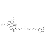 TAMRA-PEG4-NHS