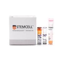 STEMCELL Technologies19849EasySep™ Mouse/Human Chimera Isolation Kit/EasySep™ 小鼠/人嵌合免疫磁珠分选试剂盒