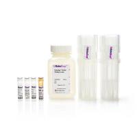 STEMCELL Technologies17668EasySep™ Mouse FITC Positive Selection Kit II/EasySep™小鼠FITC间接分选试剂盒II