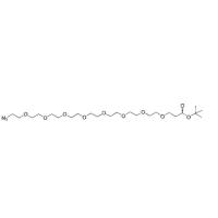N3-PEG8-t-butyl ester
