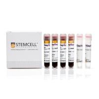 STEMCELL Technologies19661EasySep™ Direct Human T Cell Isolation Kit/人T细胞直接分选试剂盒