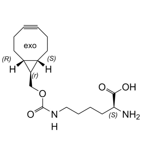exo BCN-L-Lysine