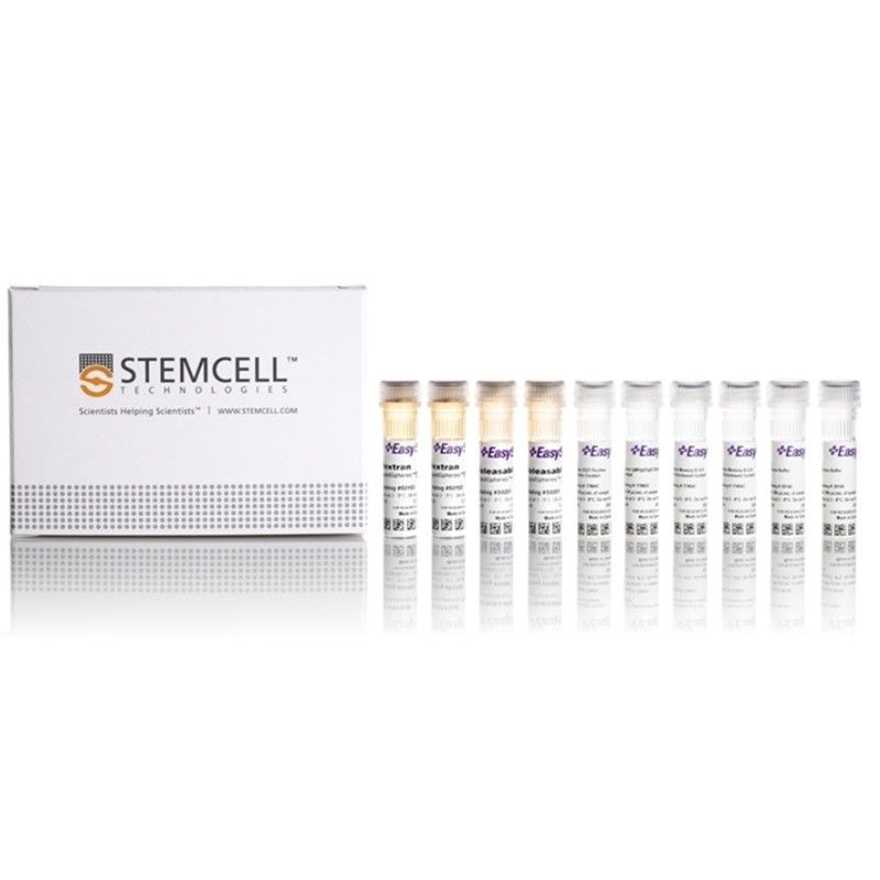 STEMCELL Technologies17868 EasySep™ Human IgG+ Memory B Cell Isolation Kit/EasySep™人IgG +记忆B细胞分离试剂盒